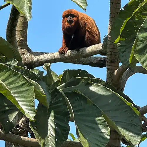 Pousada com Natureza